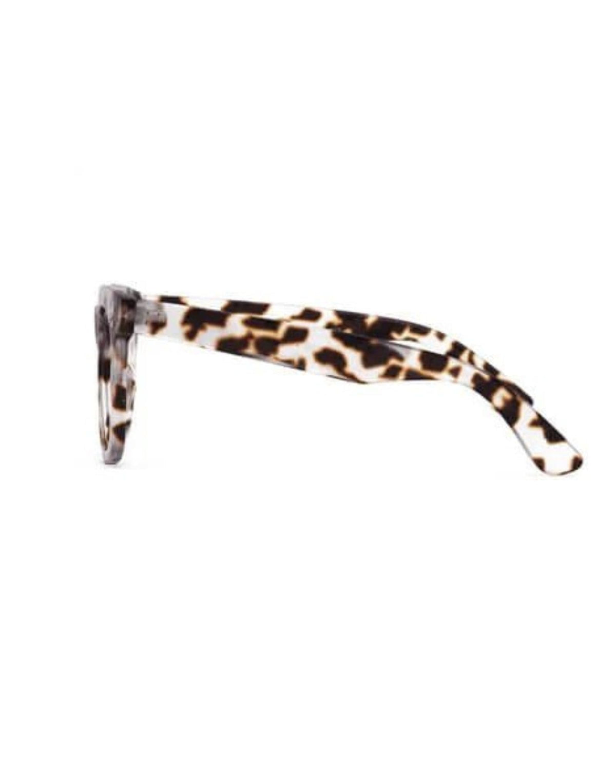 11AM READING GLASSES LIGHT TORT