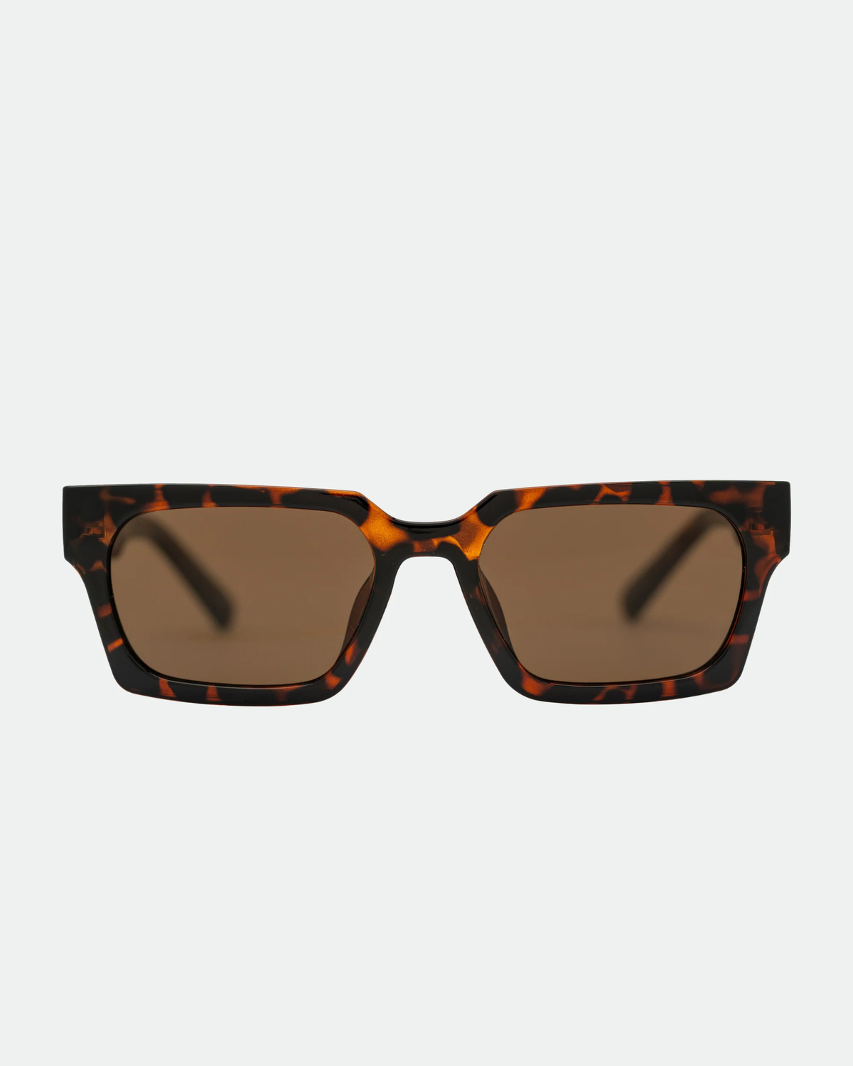 ROCO SUNGLASSES TORT/BROWN