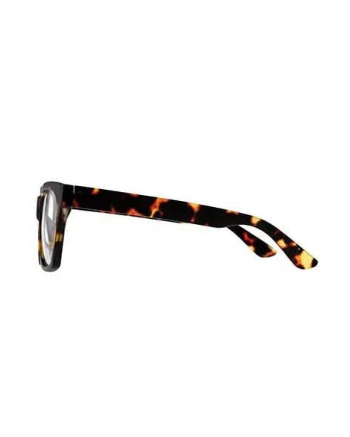10AM READING GLASSES BROWN TORT