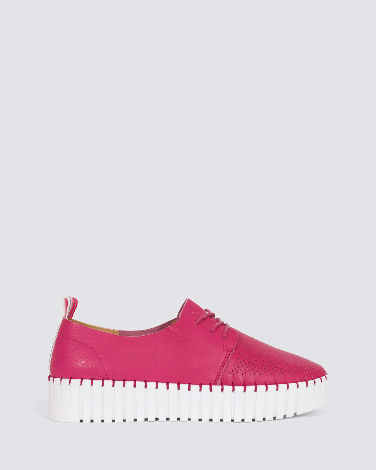 SAMMY FUCHSIA