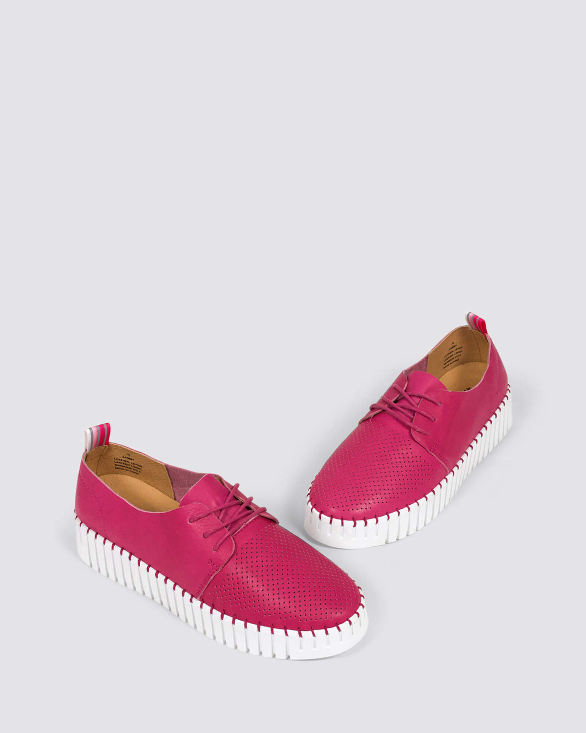 SAMMY FUCHSIA