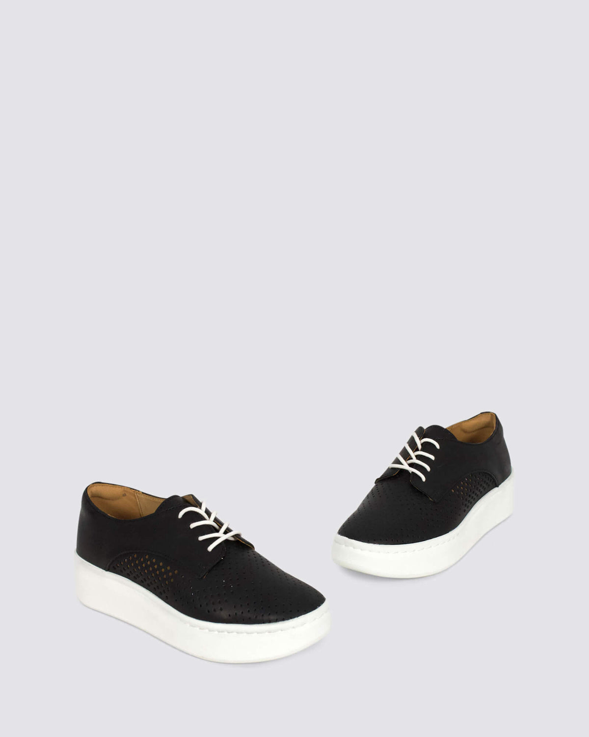 Rollies Derby City Punch Black Womens Flats Andrea Biani