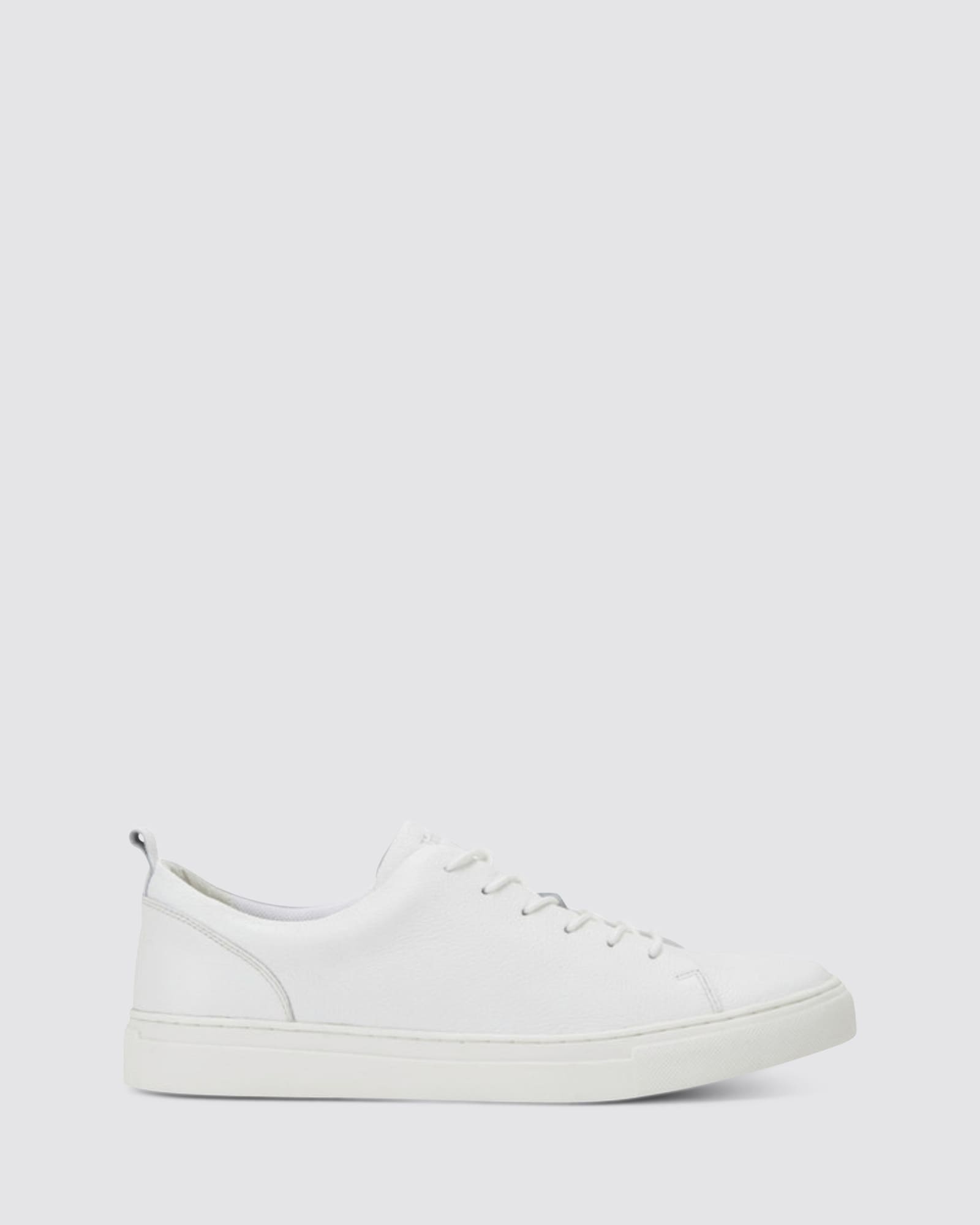 CATCH WHITE