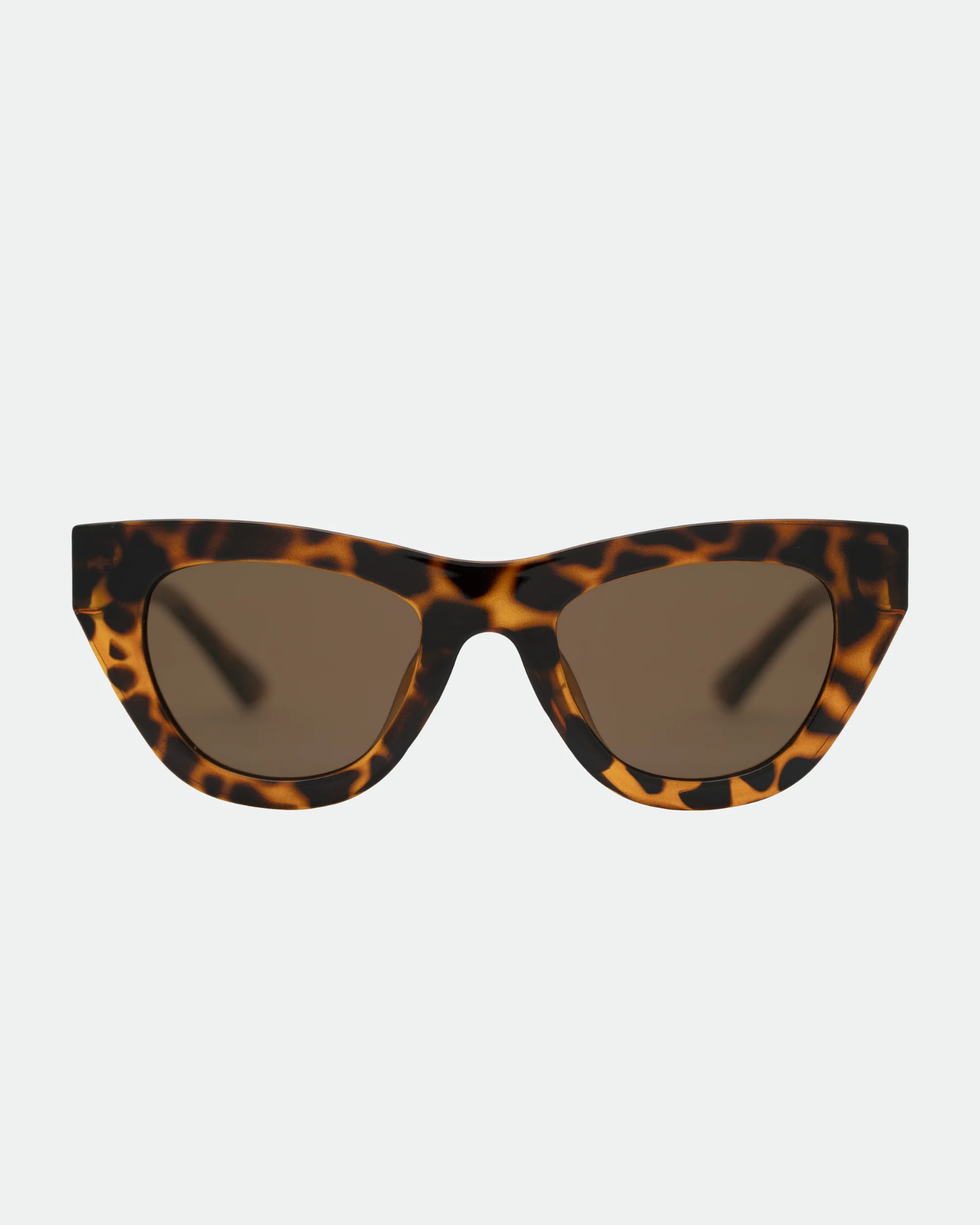 KINNI SUNGLASSES TORT/BROWN
