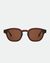 SUMMER SUNGLASSES TRANS CHOCOLATE/BROWN